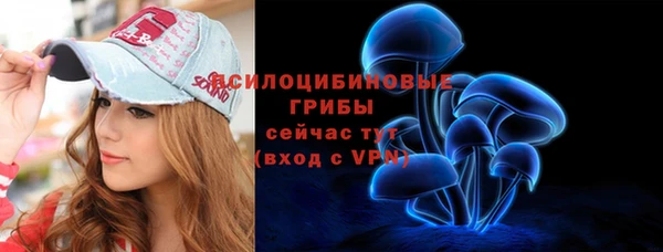 PSILOCYBIN Белокуриха