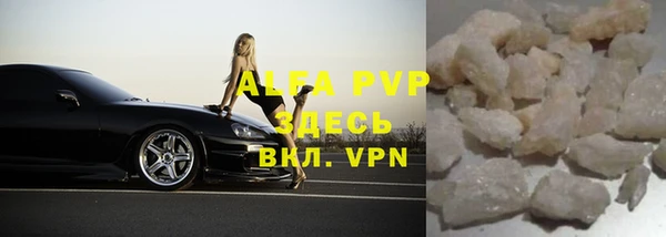 PSILOCYBIN Белокуриха