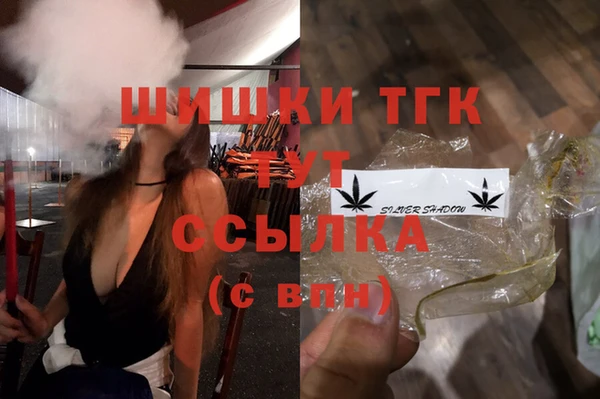 PSILOCYBIN Белокуриха