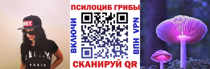 продажа наркотиков  Краснослободск  OMG маркетплейс  Псилоцибиновые грибы мицелий 